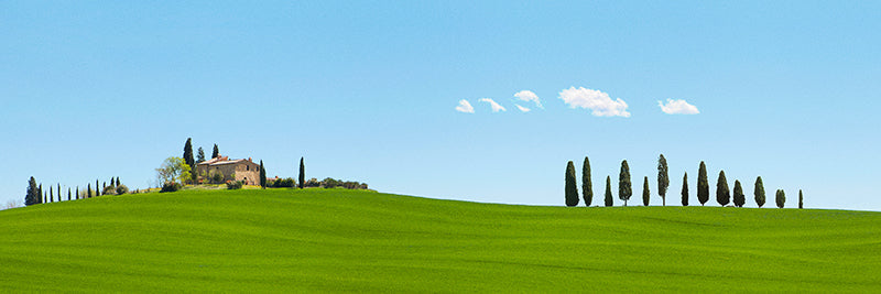 Strada del Brunello, Tuscany (detail)