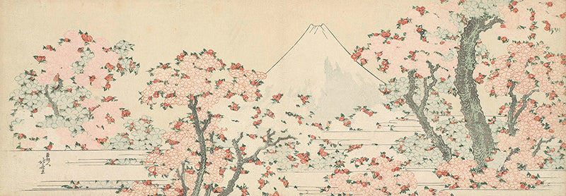 Mount Fuji with Cherry Trees in Bloom