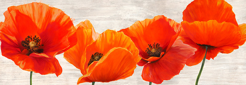 Bright Poppies