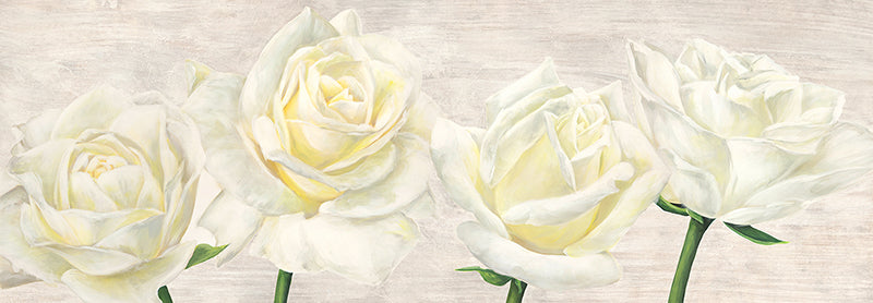 Classic Roses
