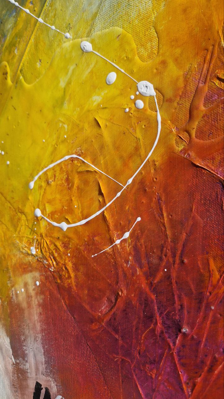 Donami uno sguardo per volare_886