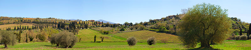 Val d'Orcia, Siena, Tuscany