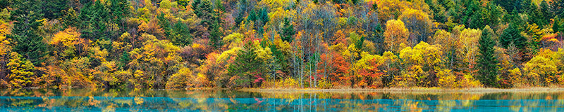 Lake and forest in autumn, China