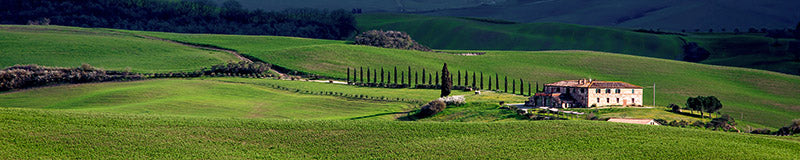 A villa in Tuscany