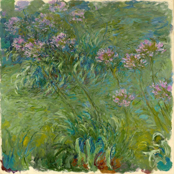 Agapanto di Claude Monet