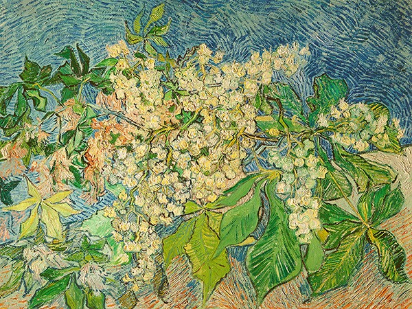 Ramo di castagno in fiore di Vincent Van Gogh