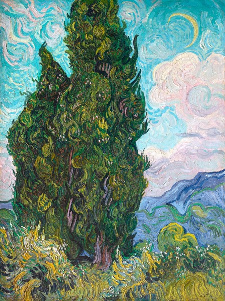 Cipressi di Vincent Van Gogh