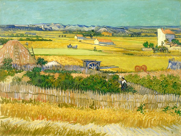 Il raccolto di Vincent Van Gogh