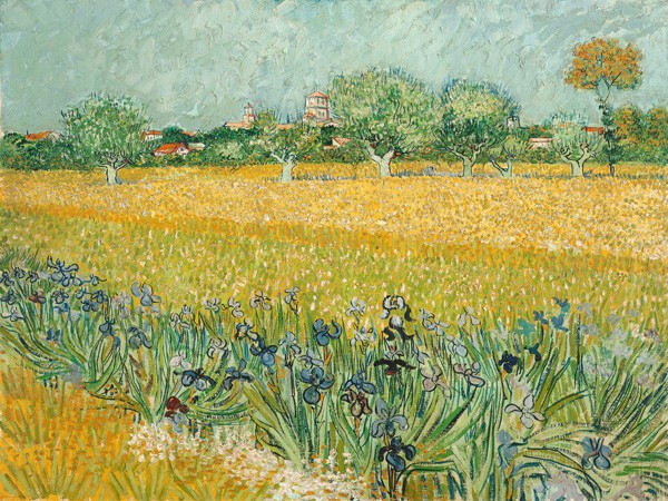 Campo di iris vicino ad Arles di Vincent Van Gogh