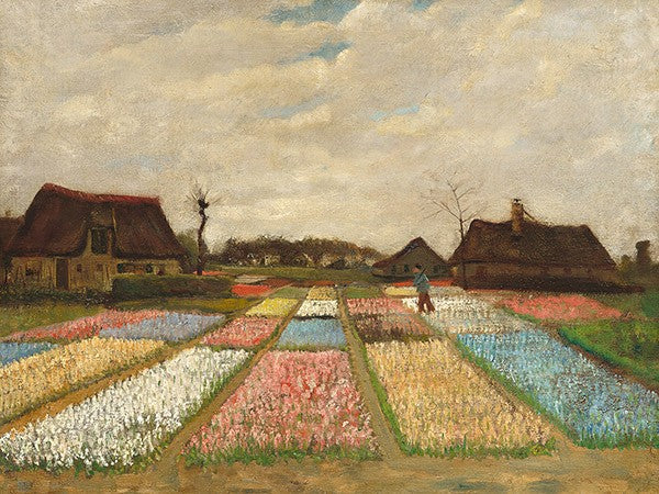 Aiuole di fiori in Olanda di Vincent Van Gogh