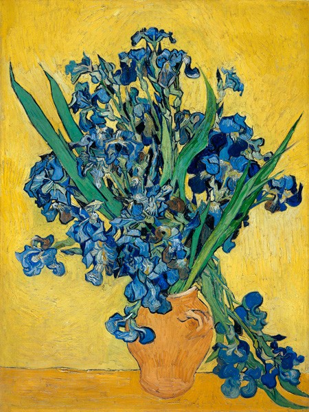 Iris di Vincent Van Gogh