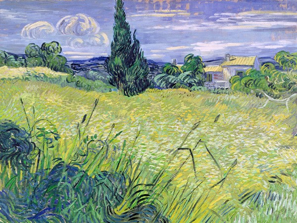 Paesaggio con grano verde di Vincent Van Gogh