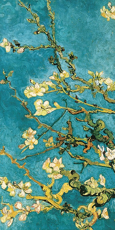 Mandorlo in fiore I di Vincent Van Gogh