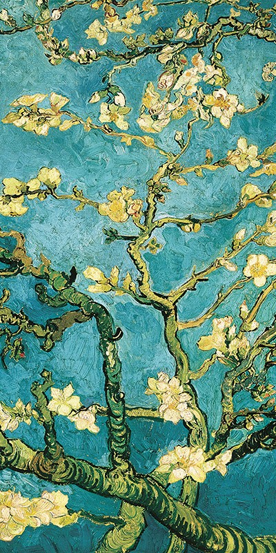 Mandorlo in fiore II di Vincent Van Gogh