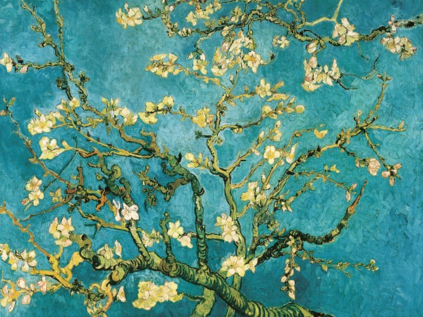 Mandorlo in fiore di Vincent Van Gogh