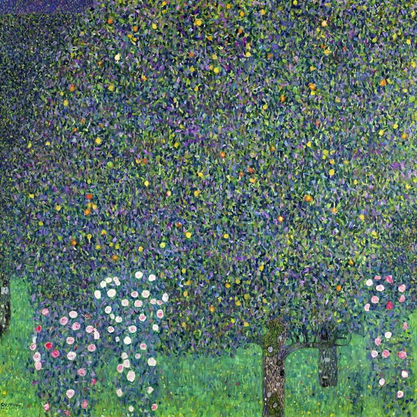 Rose Sotto gli Alberi di Gustav Klimt