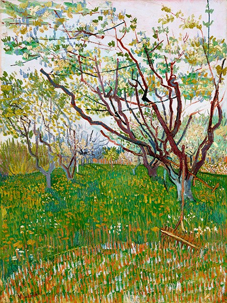 Il frutteto in fiore di Vincent Van Gogh