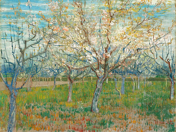 Il frutteto rosa di Vincent Van Gogh