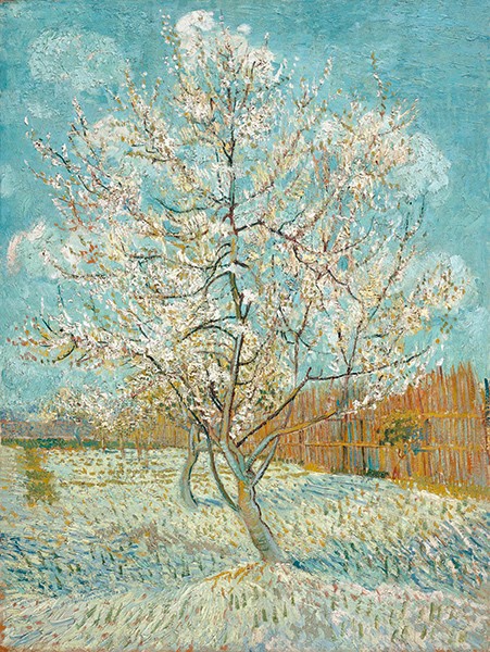 Il pesco in fiore di Vincent Van Gogh