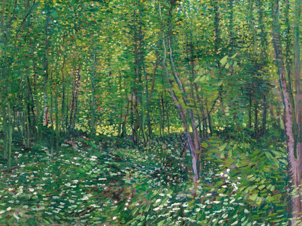 Alberi e sottobosco di Vincent Van Gogh