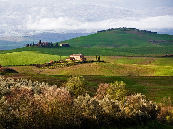 Tuscan Countryside Vadim Ratsenskiy