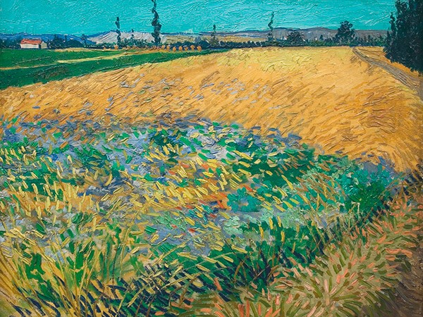 Campo di grano di Vincent Van Gogh