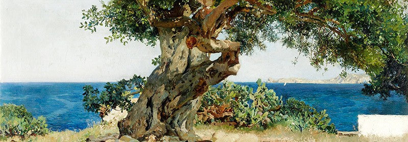 Algarrobo di Joaquín Sorolla y Bastida