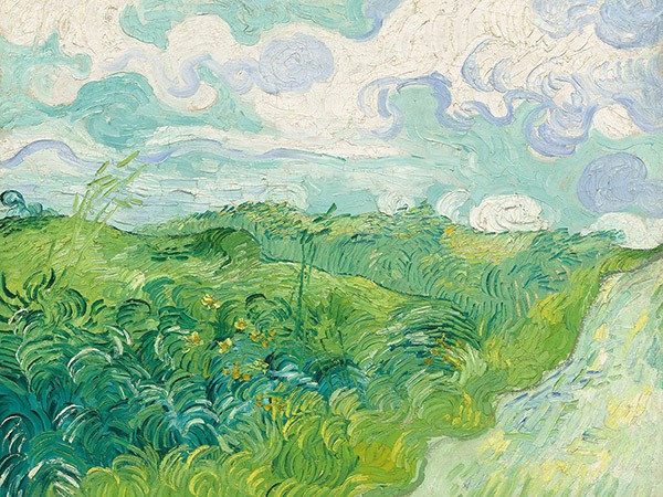 Campi di grano verdi ad Auvers di Vincent Van Gogh