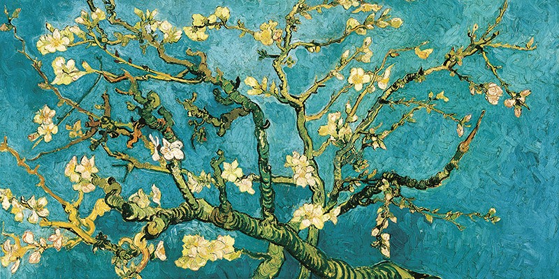 Mandorlo in fiore (Dettaglio) di Vincent Van Gogh