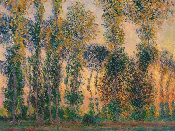 Pioppi a Giverny all'Alba di Claude Monet