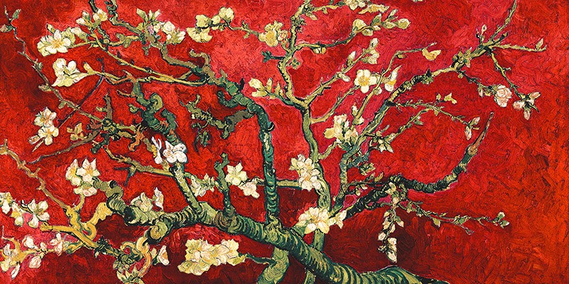 Mandorlo in fiore (Variante rossa - Dettaglio) di Vincent Van Gogh