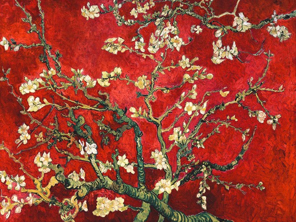 Mandorlo in fiore (Variante rossa) di Vincent Van Gogh