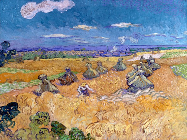 Campi di grano con mietitore ad Auvers di Vincent Van Gogh